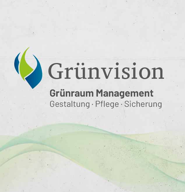 Gruenvision Teaser Webdesign Programmierung Betreuung Print Corporate Logodesign