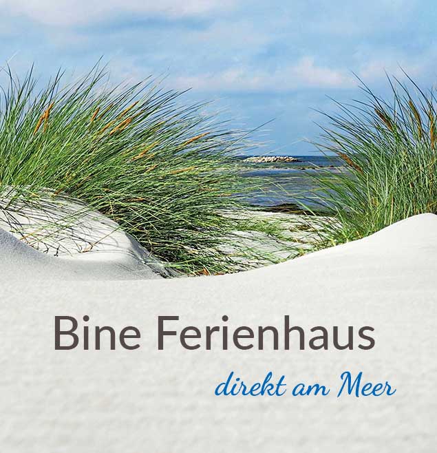 Dieses Vorschaubild zeigt einen Strand an der Ostsee und ist ein direkter Link zu einem Projekt Website für Vermieter.